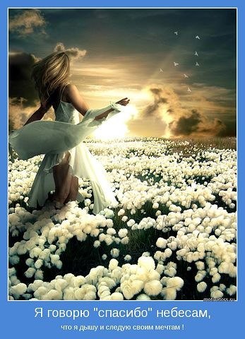 Анна Мартынова | 