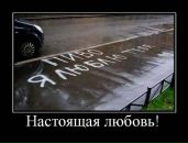 Фотография Андрей Ливик