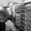 Аватар: Танюша Гришина