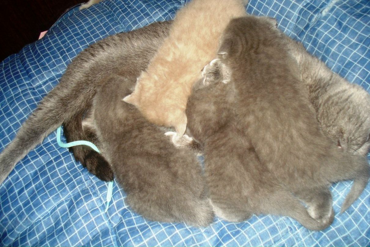 Инночка Шокарева | Донецк