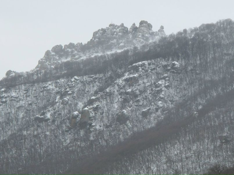 Игорь Баженов | 