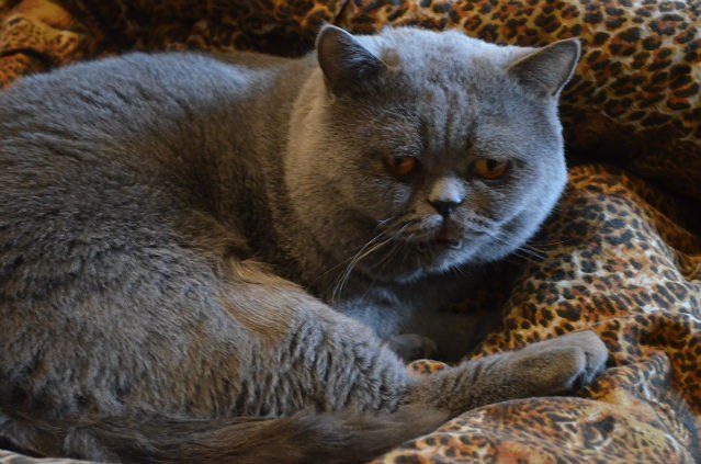 Екатерина Булочкина | 