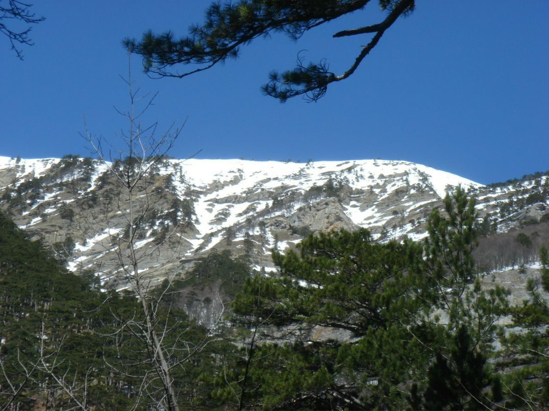 Владимир Ковдя | Ялта