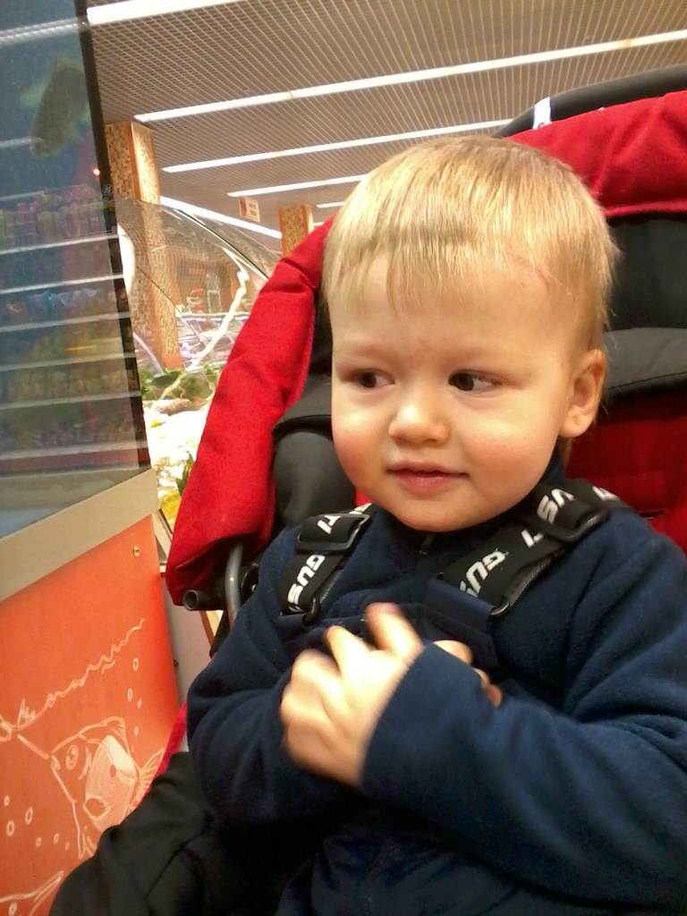 Алексей Матюшкин | Москва