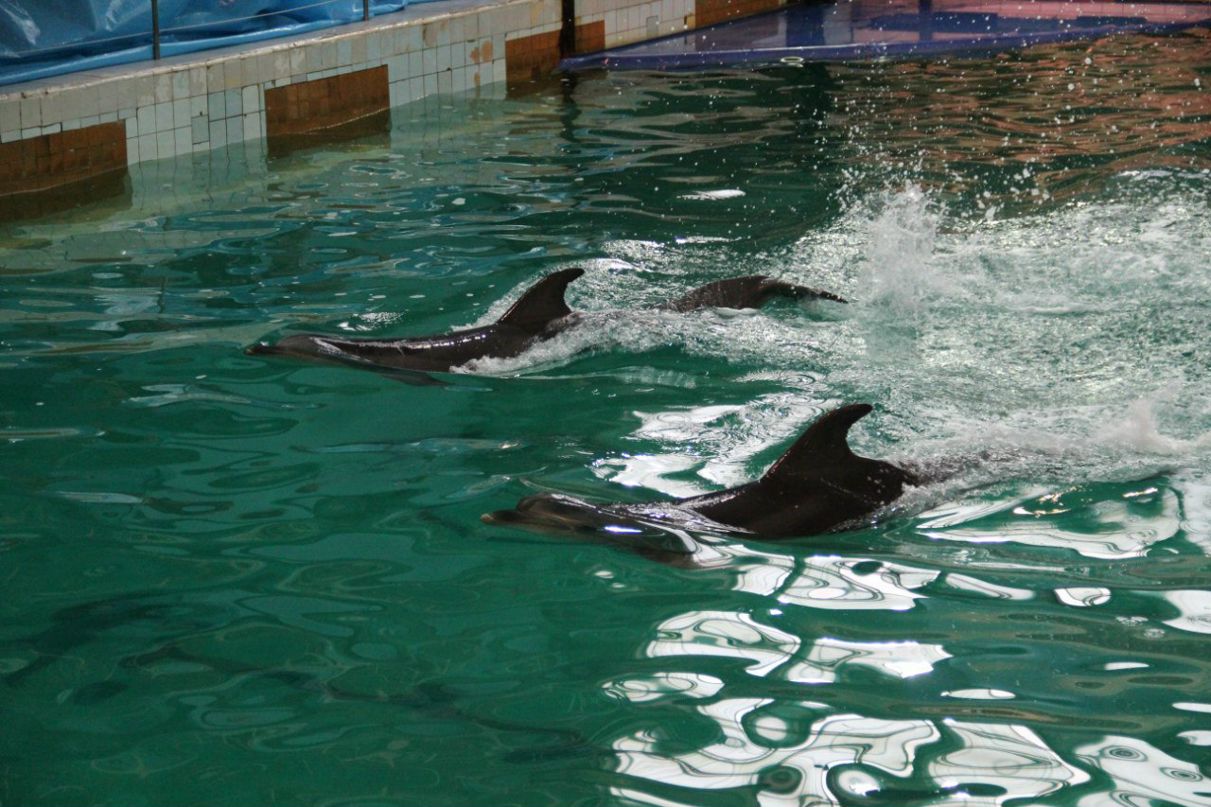 Наталья Чернышева | Санкт-Петербург