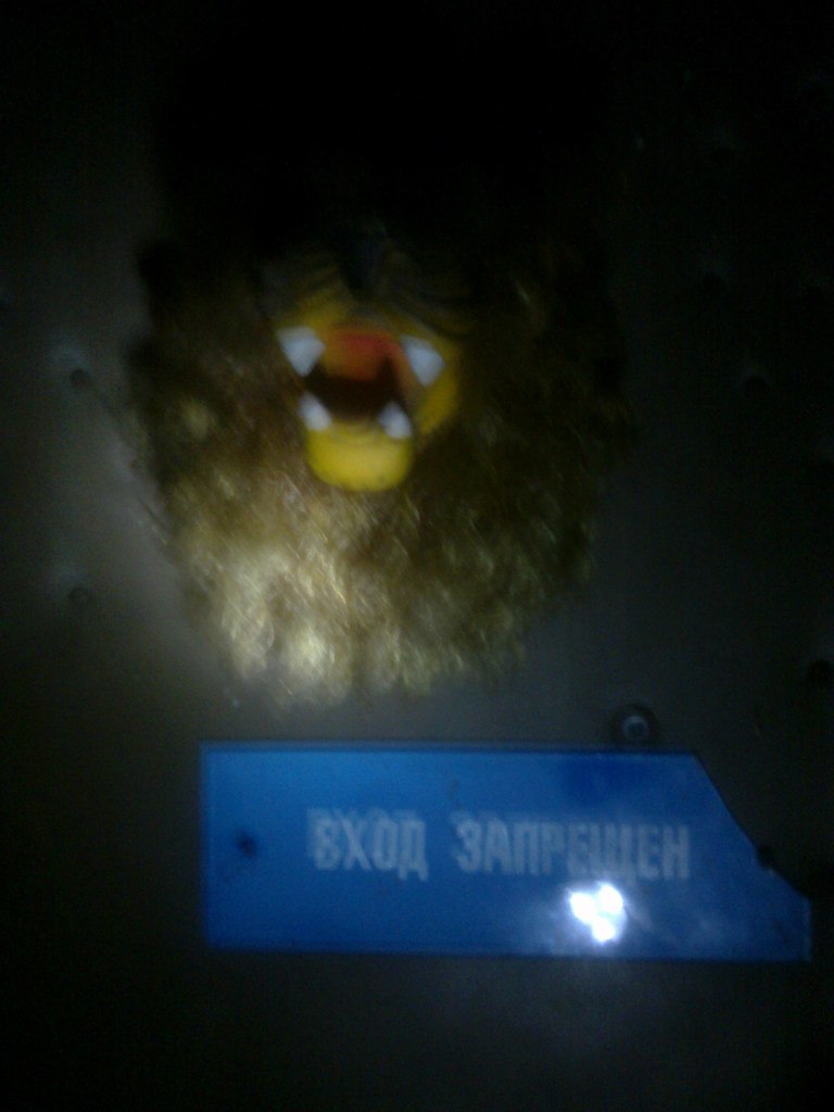 Максим Валененков | Санкт-Петербург