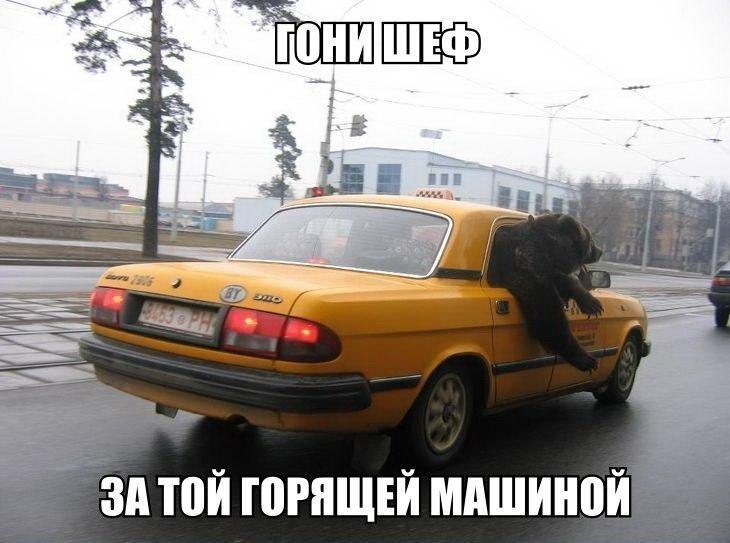 Roma Solomko militarka.com.ua | 