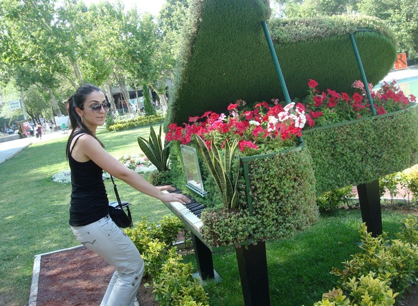 №8, Карине Арутюнян №8, Карине Арутюнян