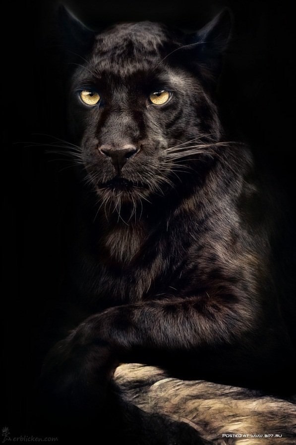 Алексей Сурков | Ульяновск