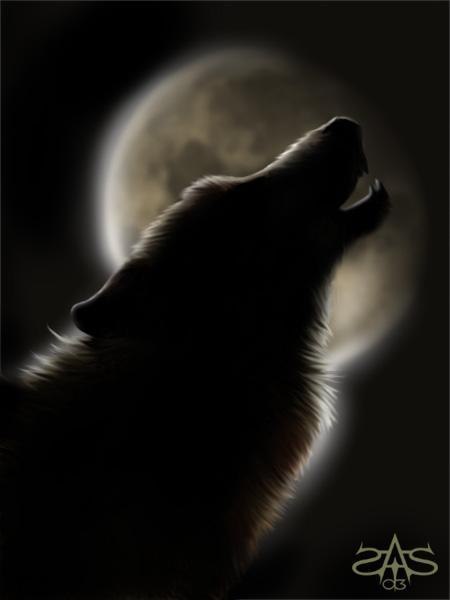 Віталій Чорба ~Dreamer_ | Ужгород