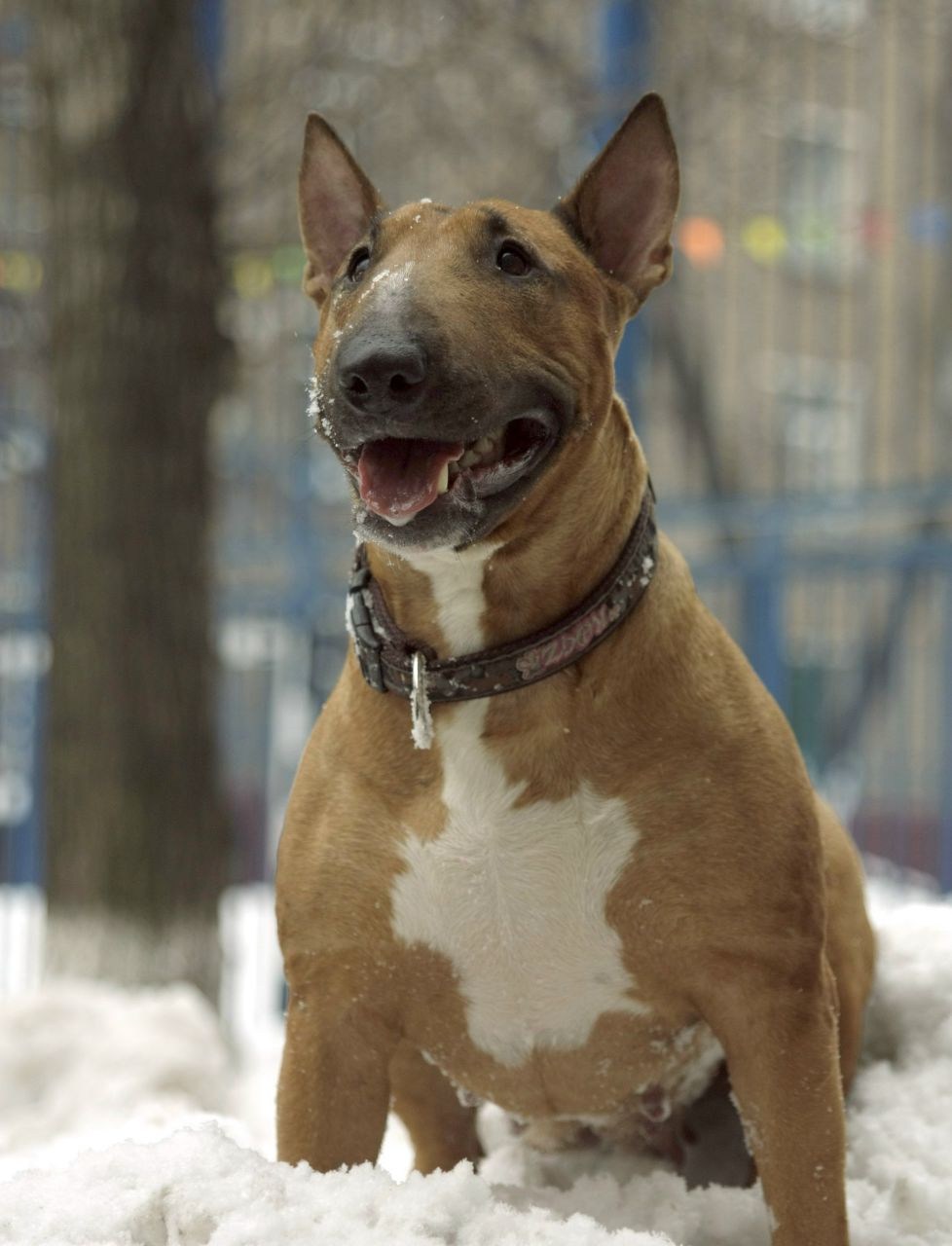 Надежда Черных | Москва