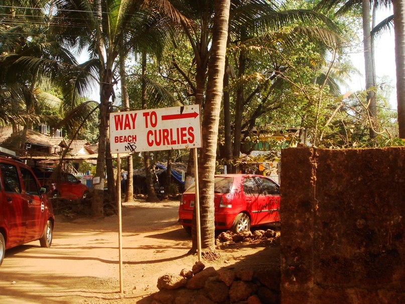 Ольга Колесникова | Самара