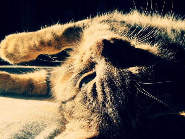 Карина Сужаева | Владикавказ