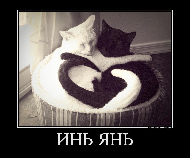 Хочувсезнать Всевсе .............. | Киев