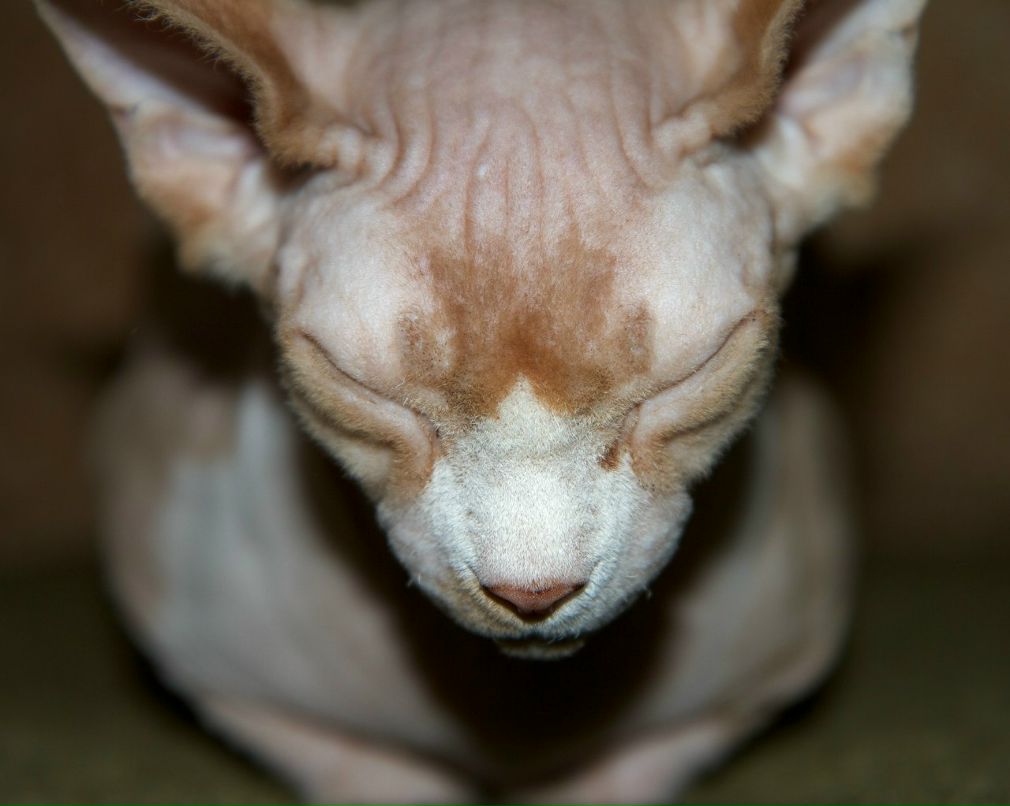 Сергей Александрович | Вологда