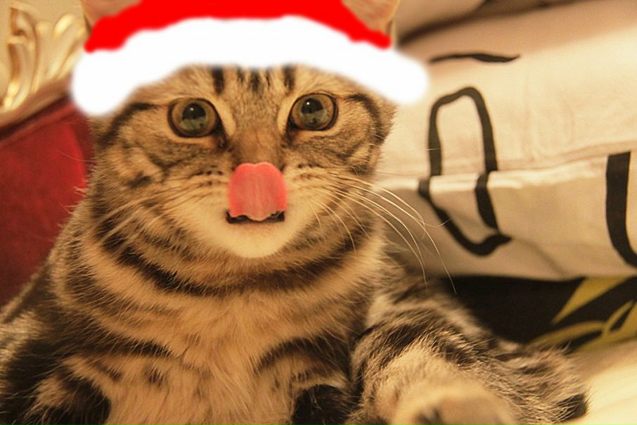 №13, Настасья Иванова, 34 года №13, Настасья Иванова, 34 года