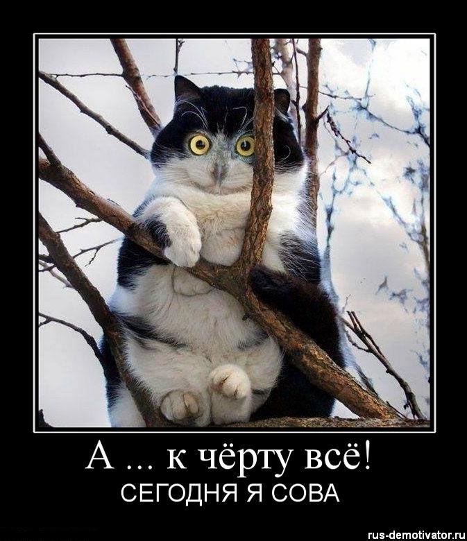 Ирина Вильховецкая | Луганск