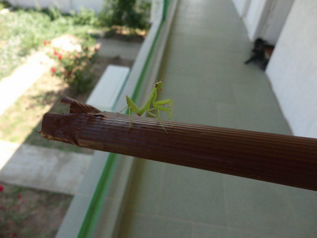 Юрий Голубев | Нижний Новгород
