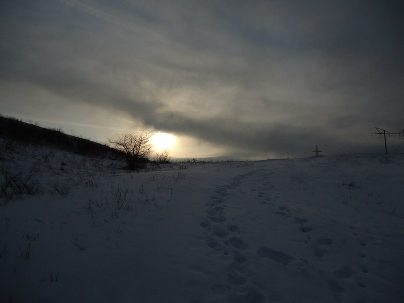 Дима Хачев | Донецк
