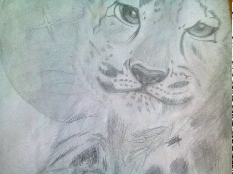 Ольга Богомолова МАРТИНИ | Опарино