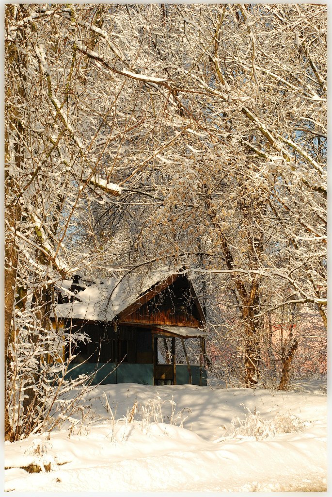 Елена Гражданинова | Нижний Новгород
