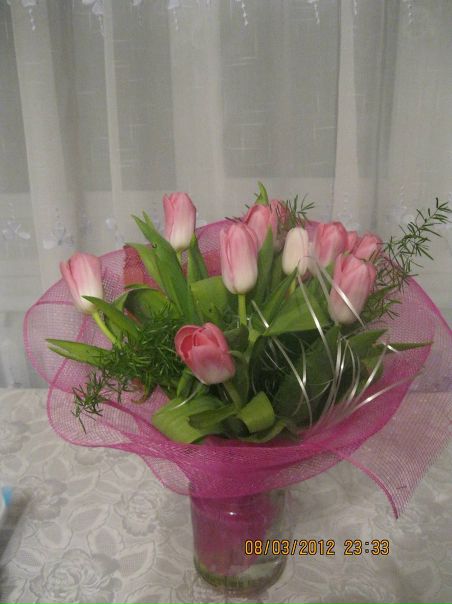 №81, Галина Шовак №81, Галина Шовак