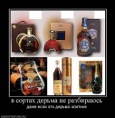 Фотография Афанасенко Андрея