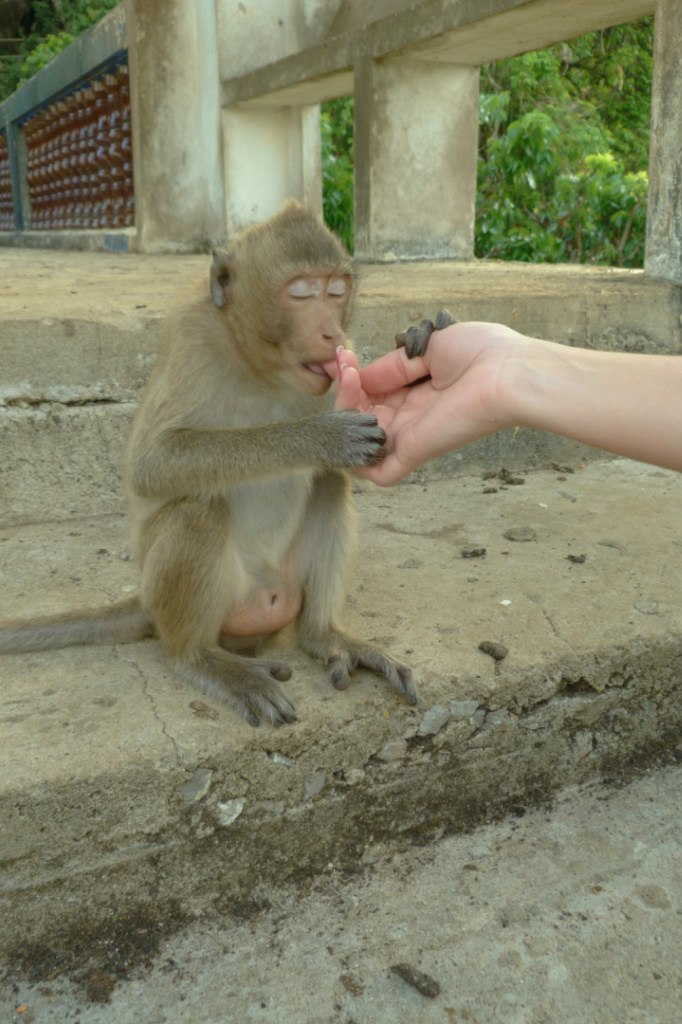Кристина Харинова | Санкт-Петербург