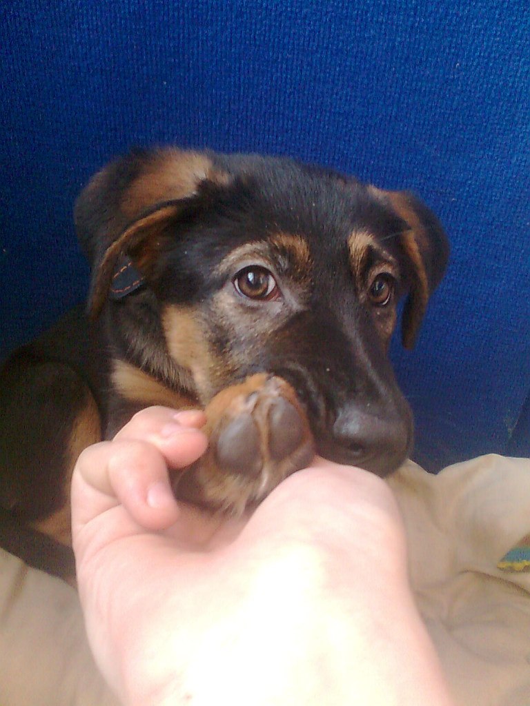 Наталия Соснова | Москва