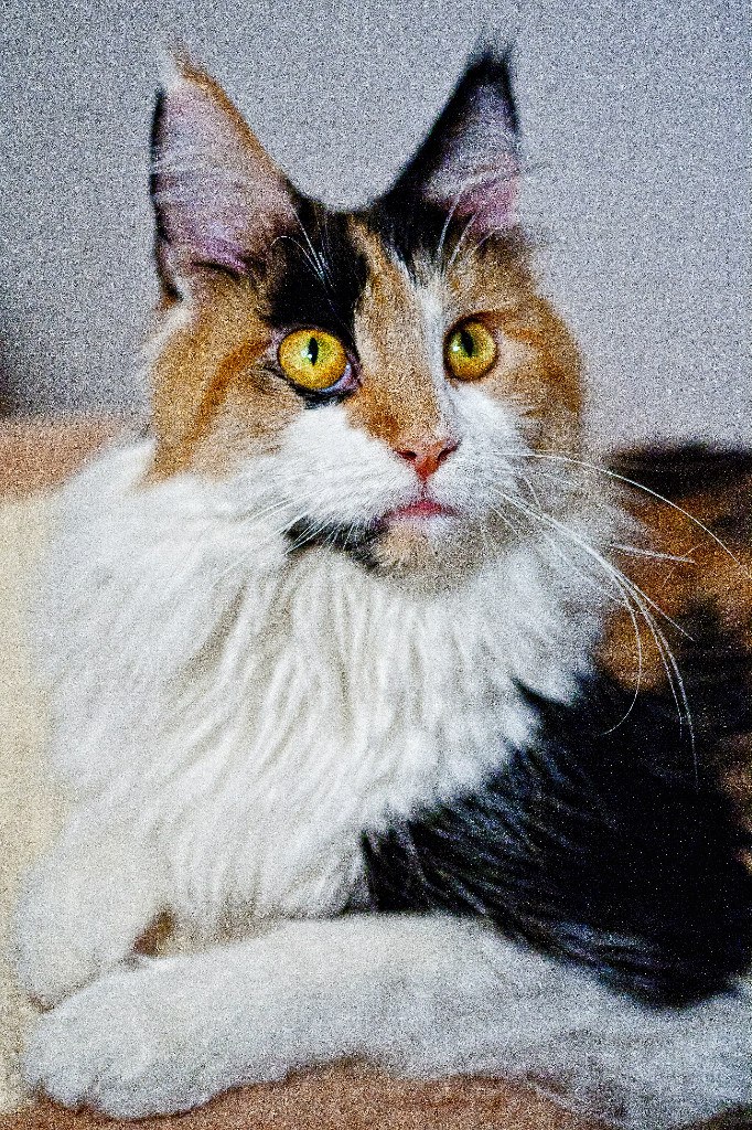 Андрей Чуяшов | Минск