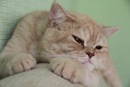 Фотография Бунякиной Марины