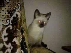 №2, Дима Стефанков, 32 года, Житомир №2, Дима Стефанков, 32 года, Житомир