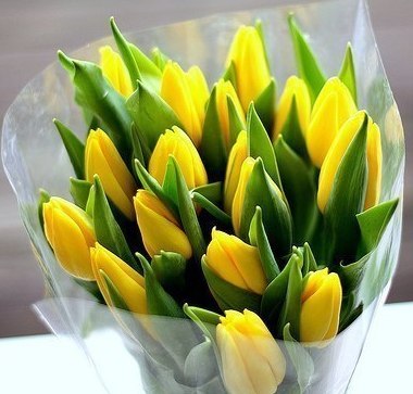 Евгения Похибенко | 