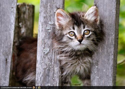 Кристина Василевская | 