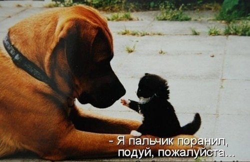 Надюша Афанасьева-Карницкая =) | Одесса