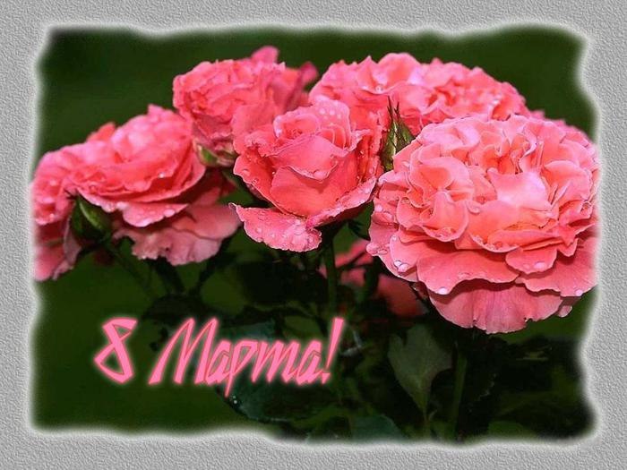 Богдан Щербина Vinni | Киев