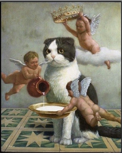 №60, Ольга Медведева, Москва №60, Ольга Медведева, Москва