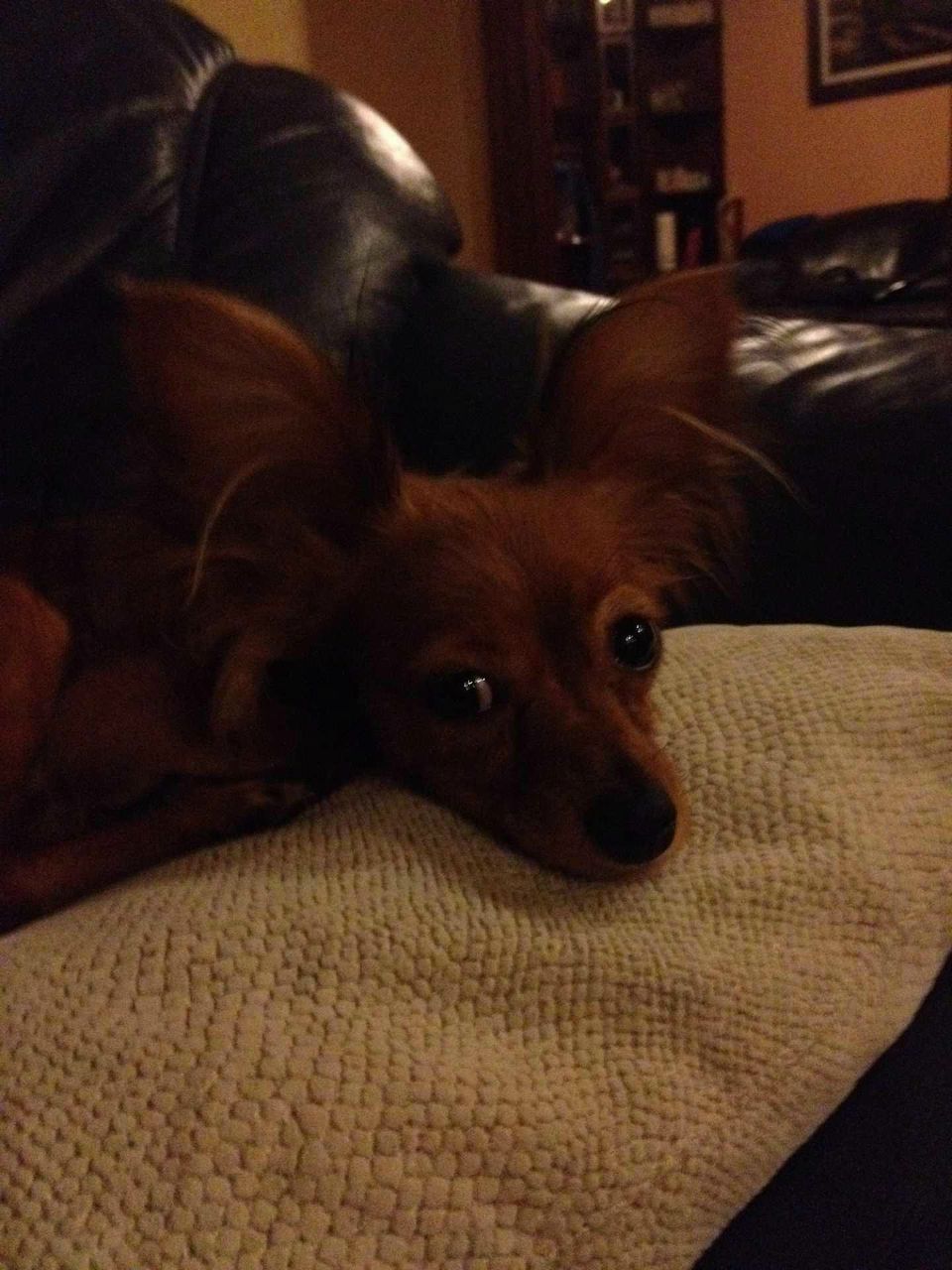 Viktor Potapov | London