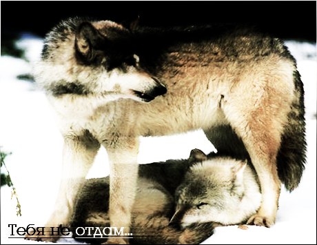 Серёга Мрачко | Санкт-Петербург