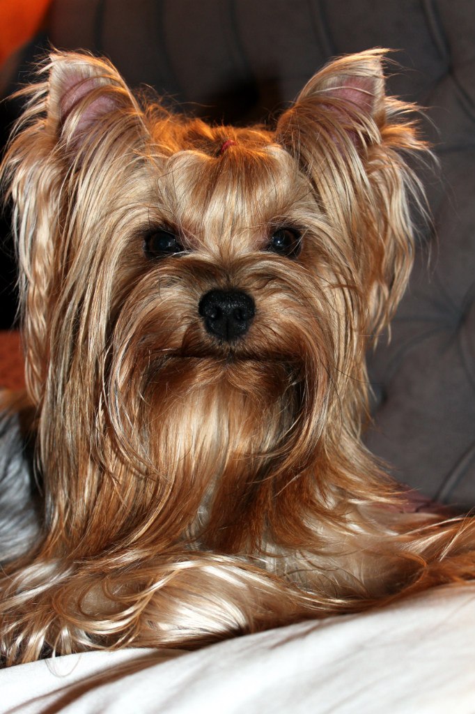 Катерина Федькова | Киев