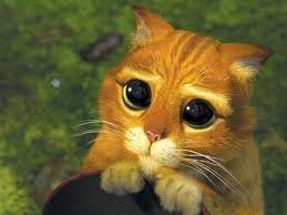 Арстан Арстанов | Los Angeles