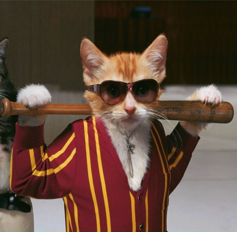 Артем Тамулянис | Симферополь