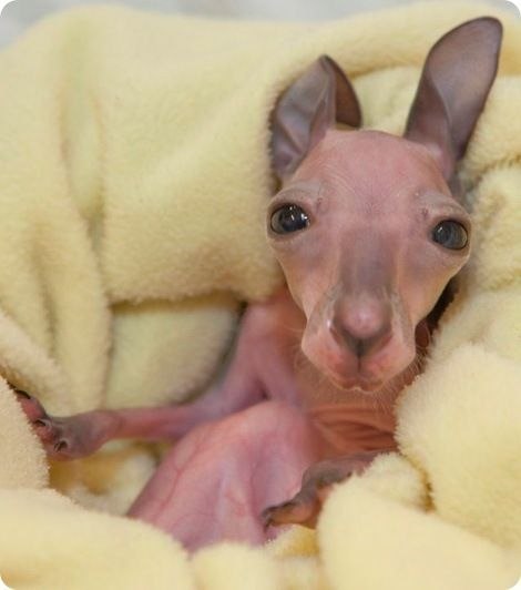 Алёна Бондаренко | Одесса