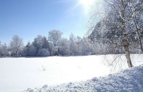 №4, Александр Пасько №4, Александр Пасько