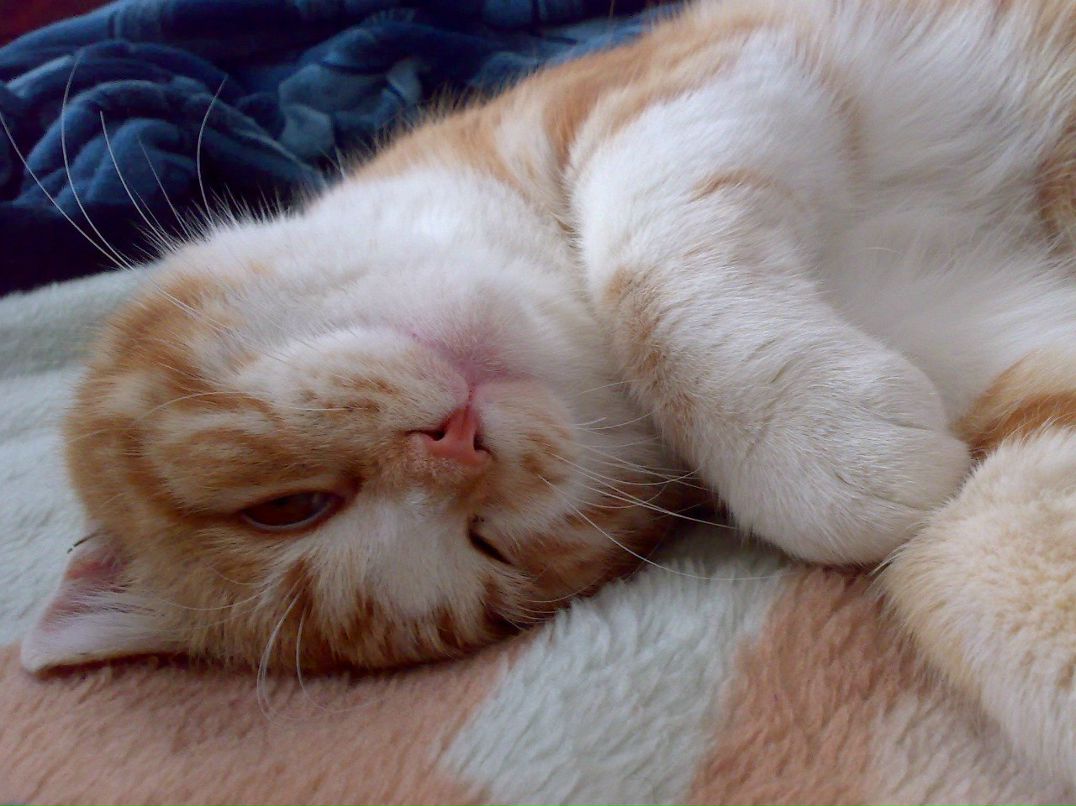 Игорь Михайлов | Кропивницкий / Кировоград