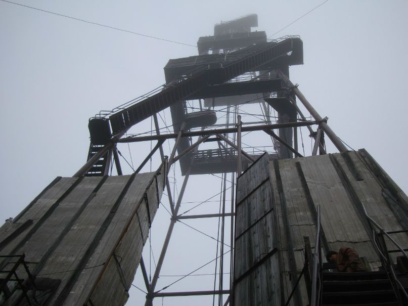 Денис Шергин Kaktuz | Санкт-Петербург