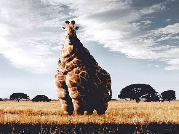 №90, Виктория Летвышко, 39 лет, Харьков №90, Виктория Летвышко, 39 лет, Харьков