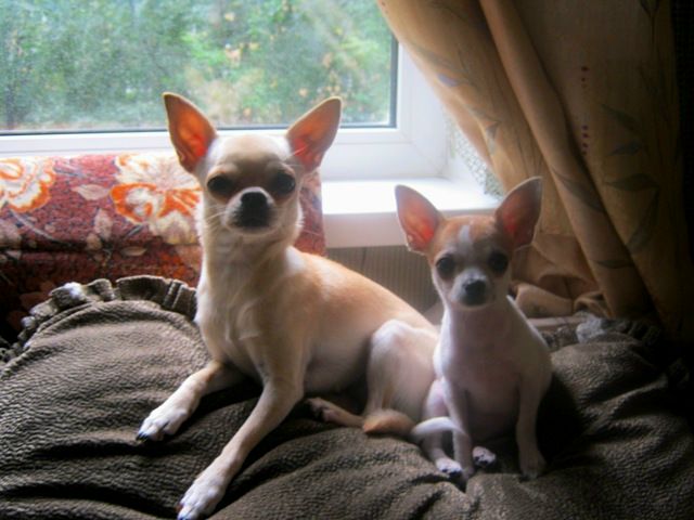 №131, Жанна Игнатьева, Санкт-Петербург №131, Жанна Игнатьева, Санкт-Петербург