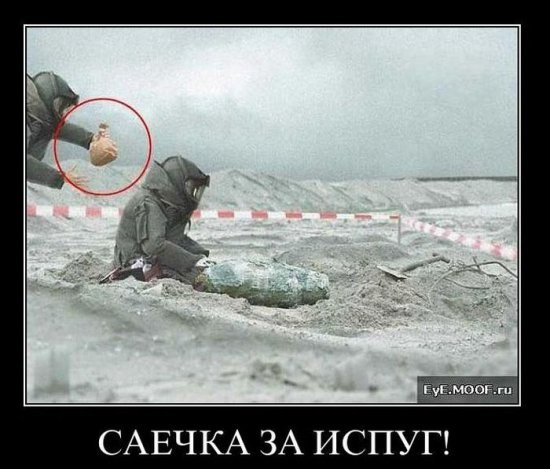 Алексей Калинин | Краснозаводск