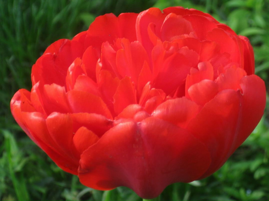 Оксана Гончарова | Санкт-Петербург